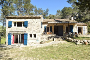 ACCENT IMMOBILIER - Mas du Rock, St Rémy, 8 pers, piscine